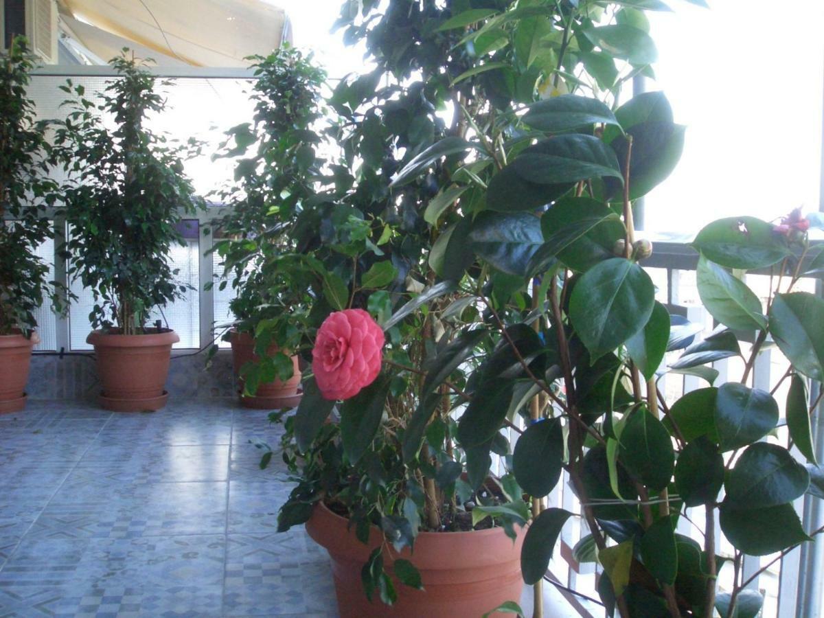 Athens Penthouse Cosy Apartment Luaran gambar